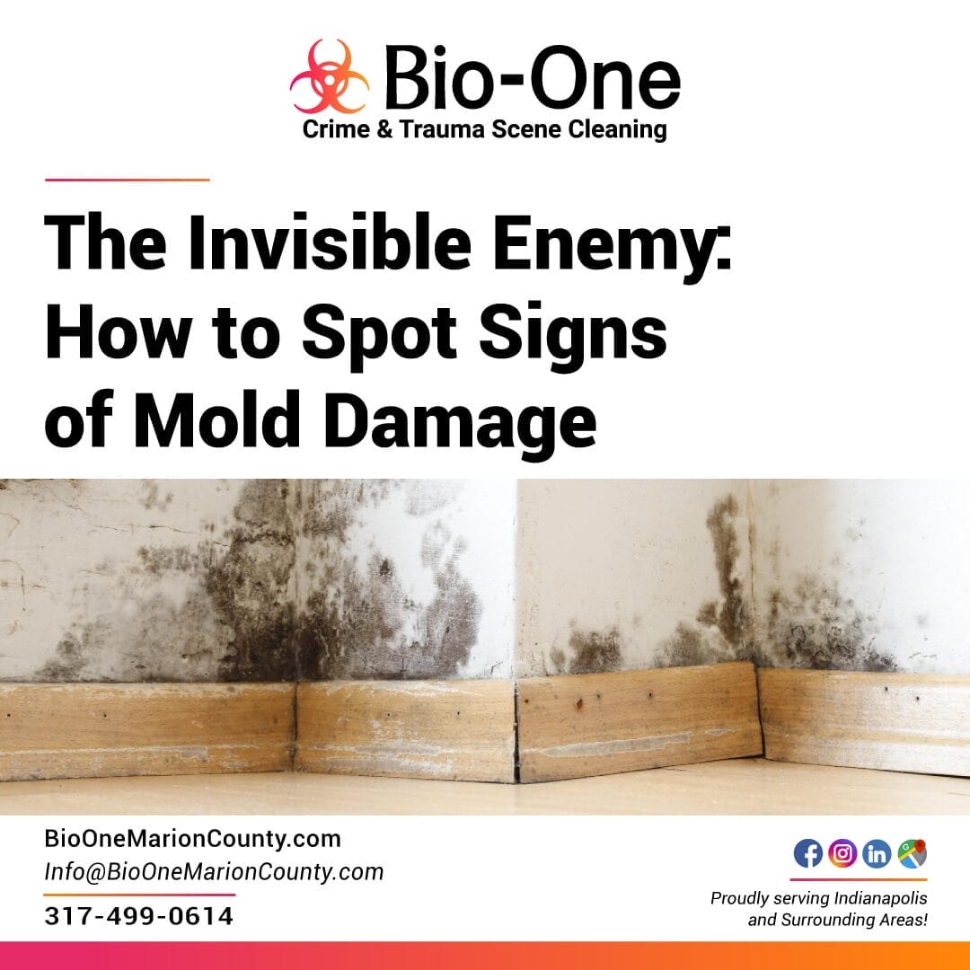 The Invisible Enemy How to Spot Signs of Mold Damage - Bio-One of Marion County