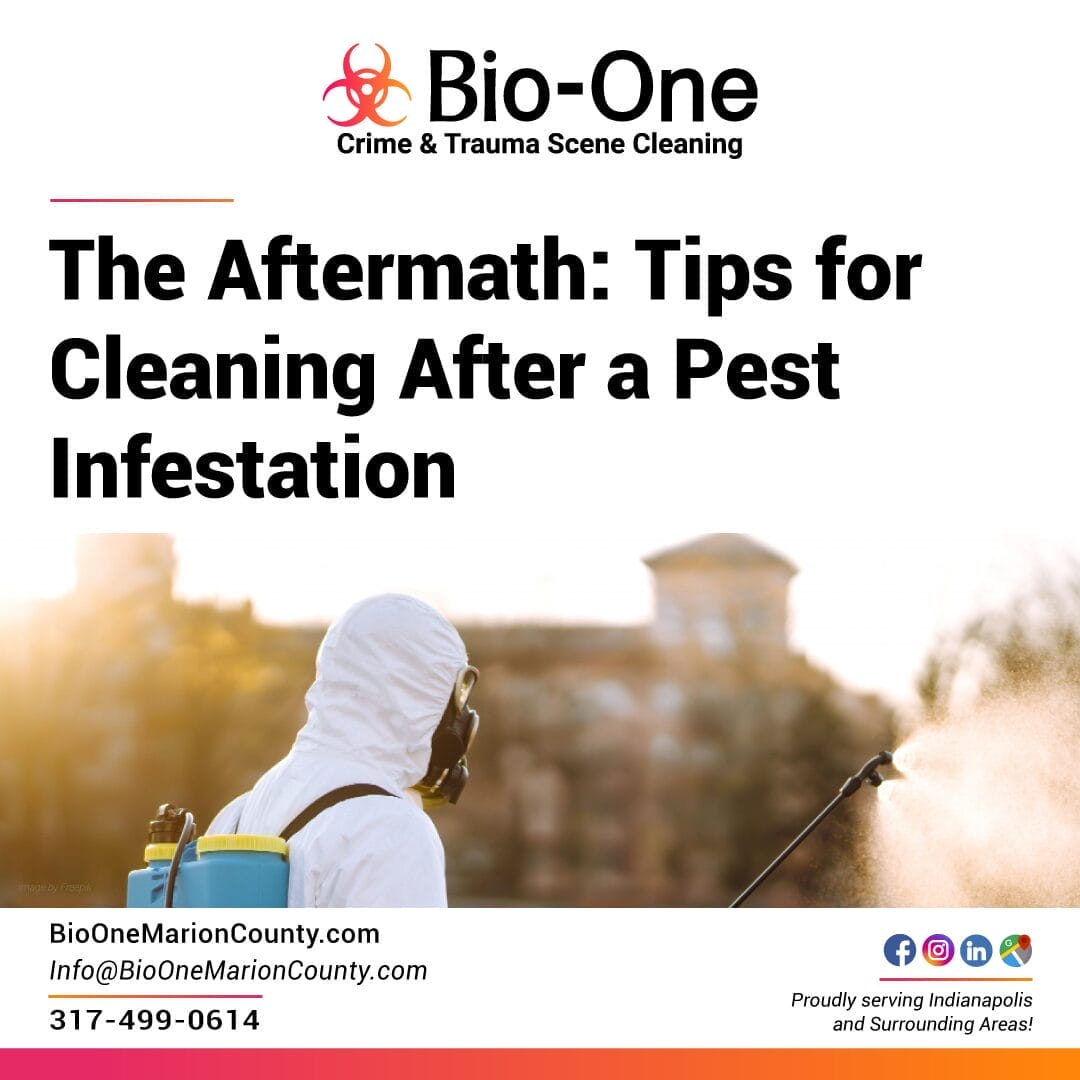 The Aftermath: Tips for Cleaning After a Pest Infestation - Bio-One of Marion County